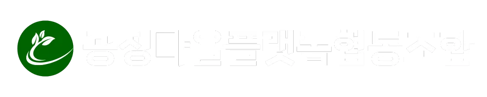 공정마을플랫폼협동조합 | 홍천 도시 재생여행 플랫폼